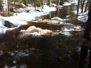 Vaahtoa ja selvästi pato !