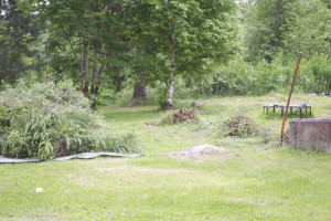 ja tässä ne on ikkusen lyhyempänä