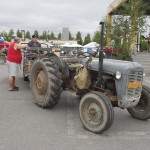 Tämmöne upee härpäke tuli torilla vastaan