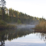 Aamuinen kanoottiretki