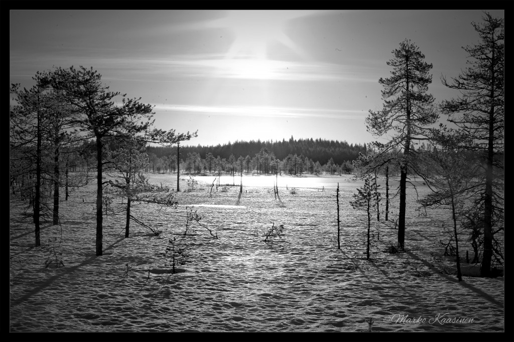 Tässä yksi upea kuva matkalta :)