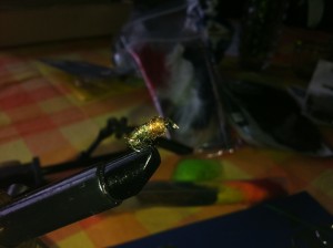 Ensimmäinen larvani :D Kyllä minusta vielä sitoja tulee :D 