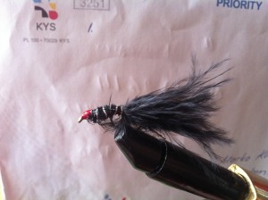 Musta liitsi joka oli ensimmäinen liitsi