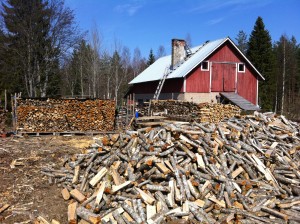 Vielä riittää puuhaa